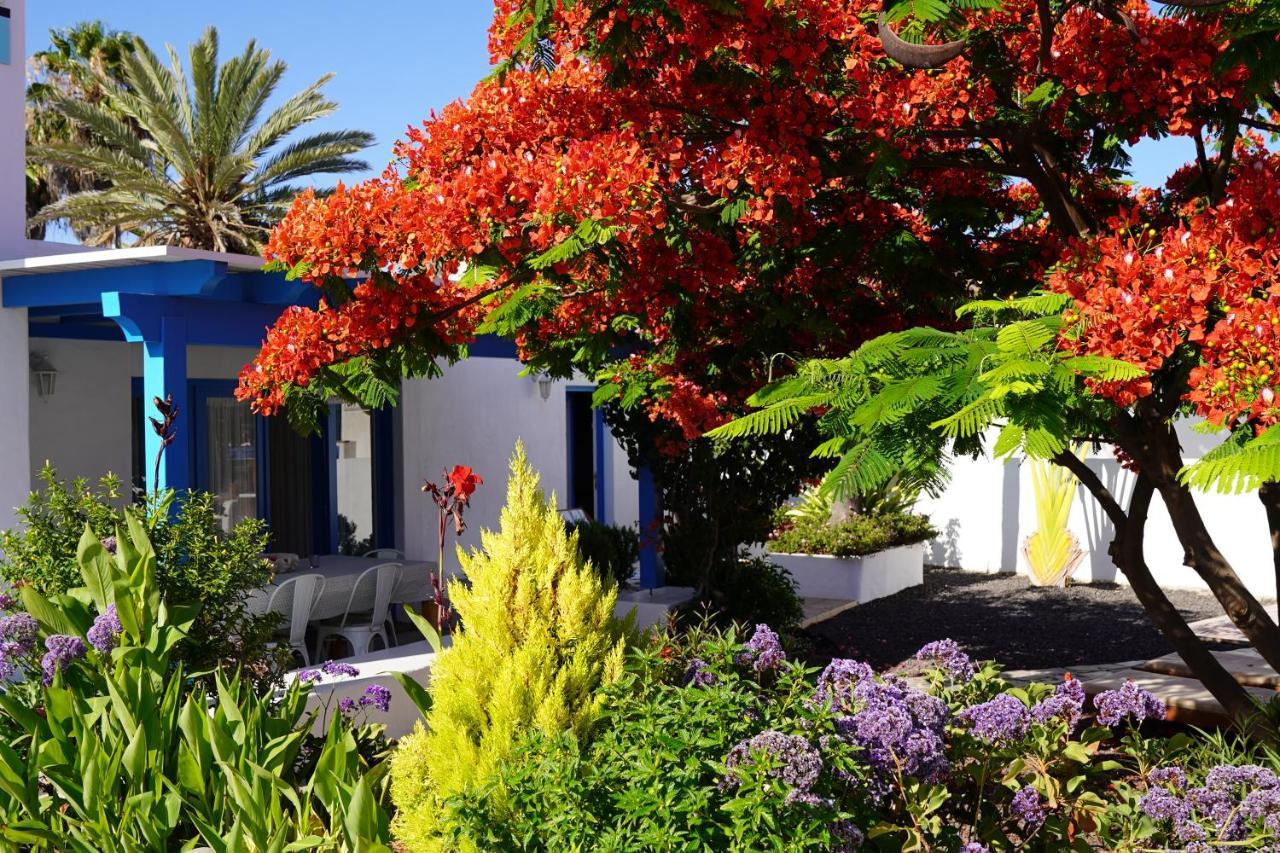 Villa Timfay Corralejo Exterior foto