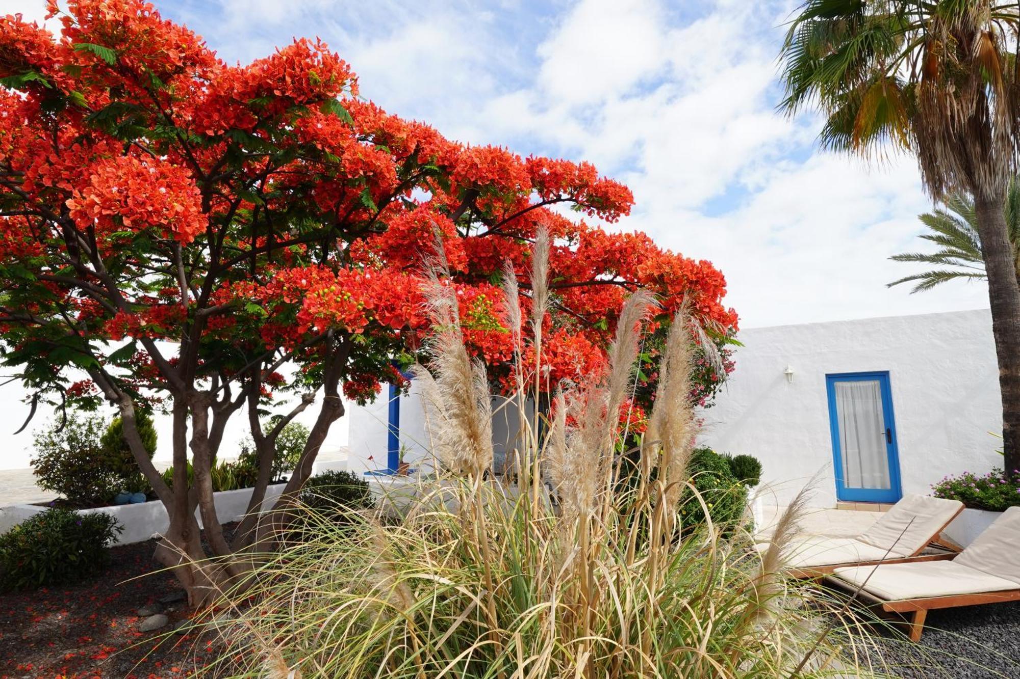 Villa Timfay Corralejo Exterior foto
